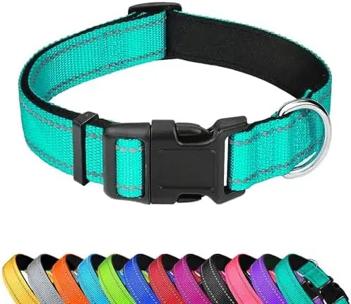 Reflective Dog Collar for Medium Dogs – Adjustable Soft Collar with Buckle & Teal Color