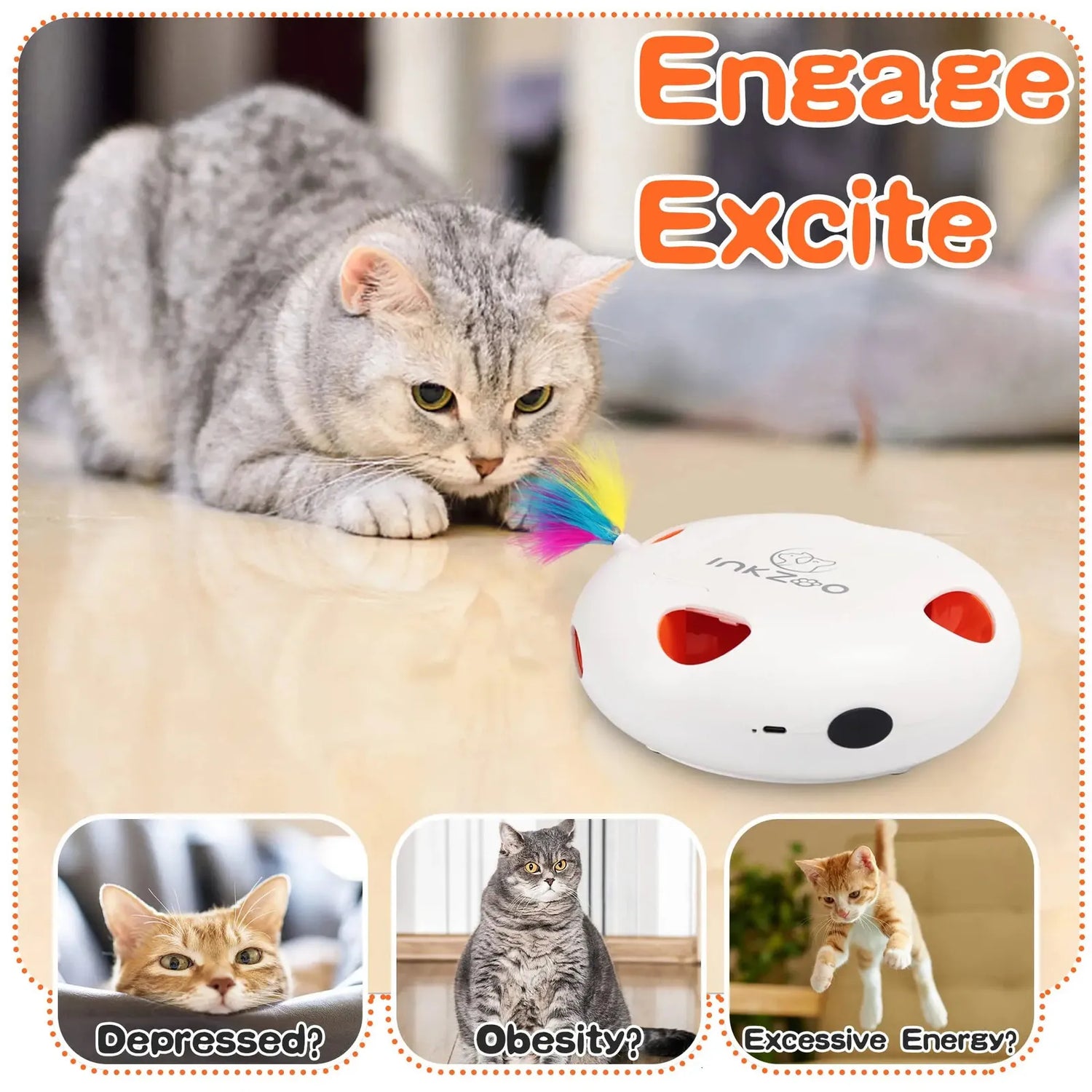 Cat Toy Interactive-Indoor Cat