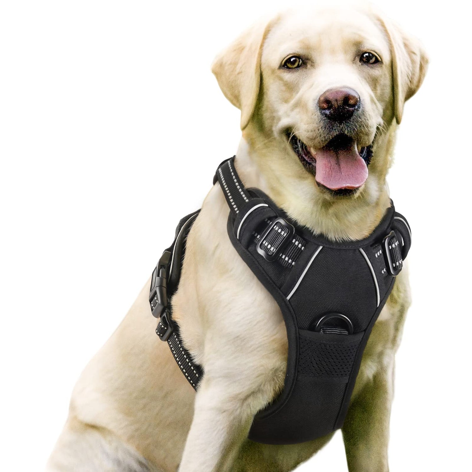 Harness