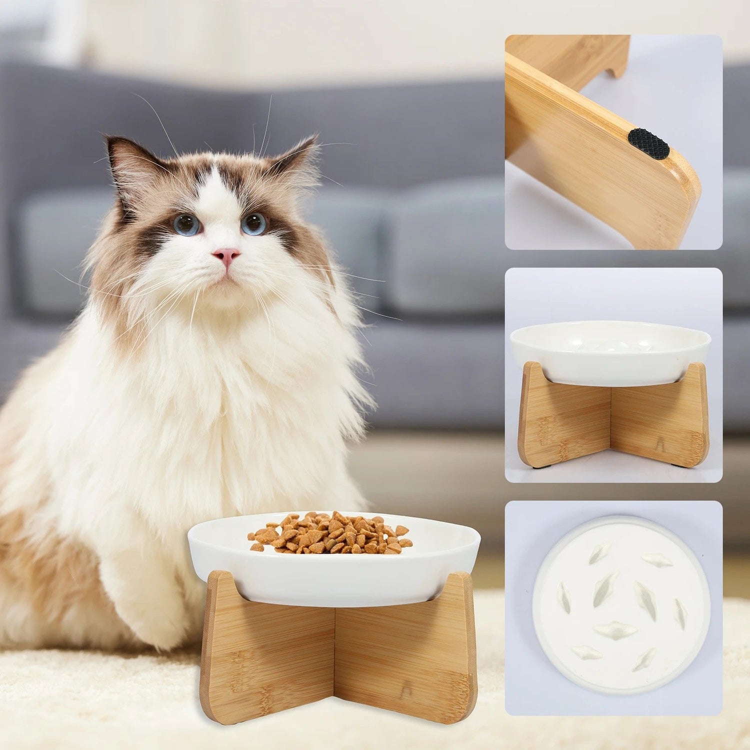 Pet Bowls & Feeding