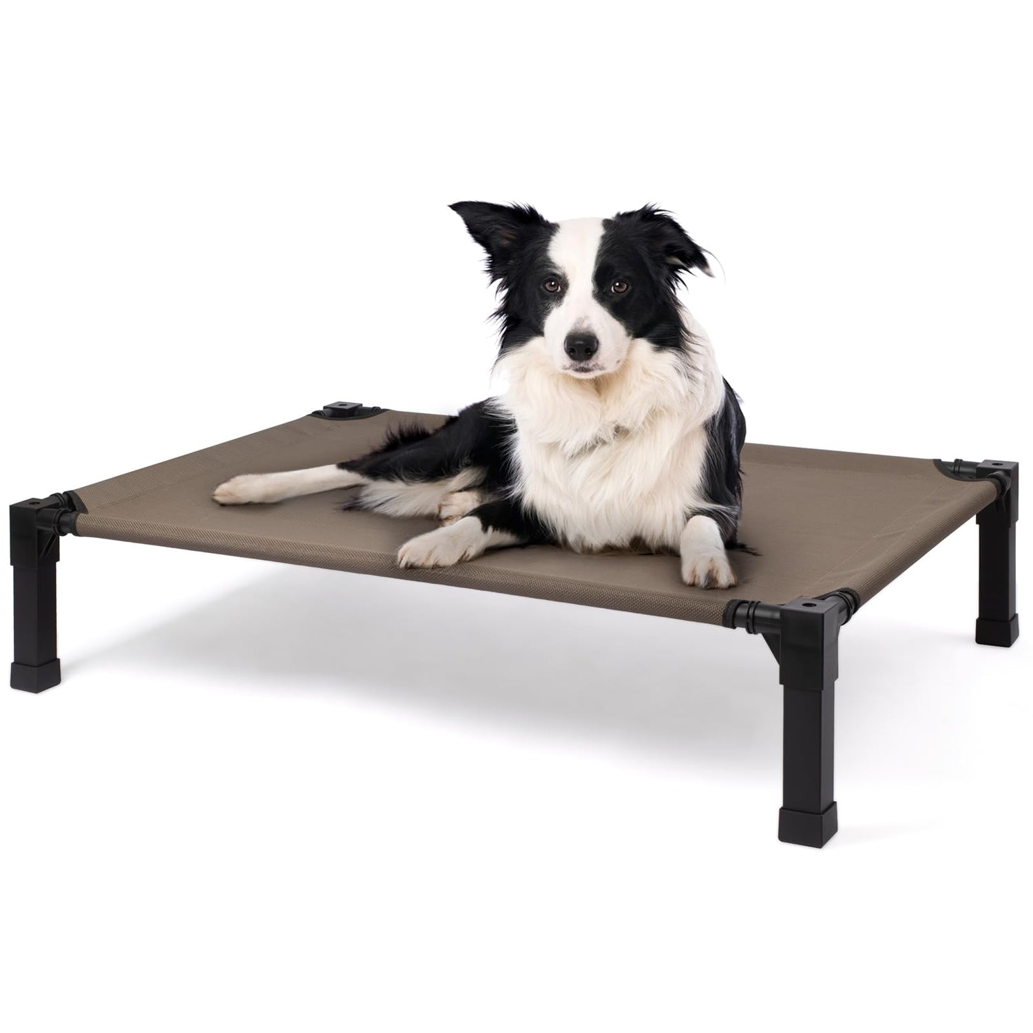 Pet Beds