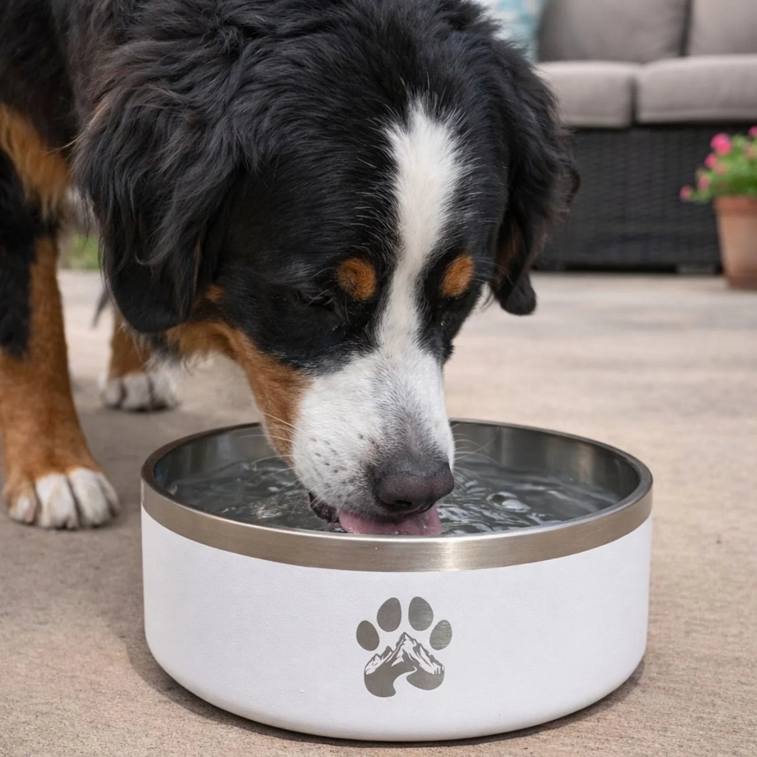 Steel Feeder Bowl