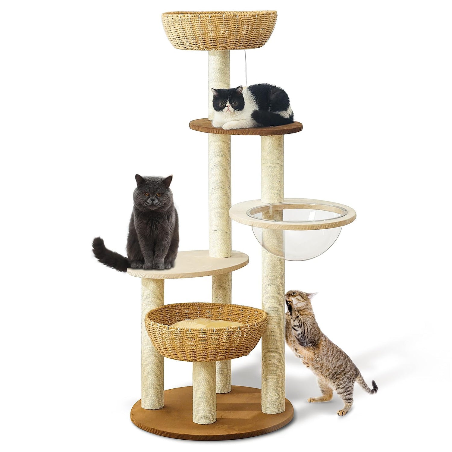 Cat Tree