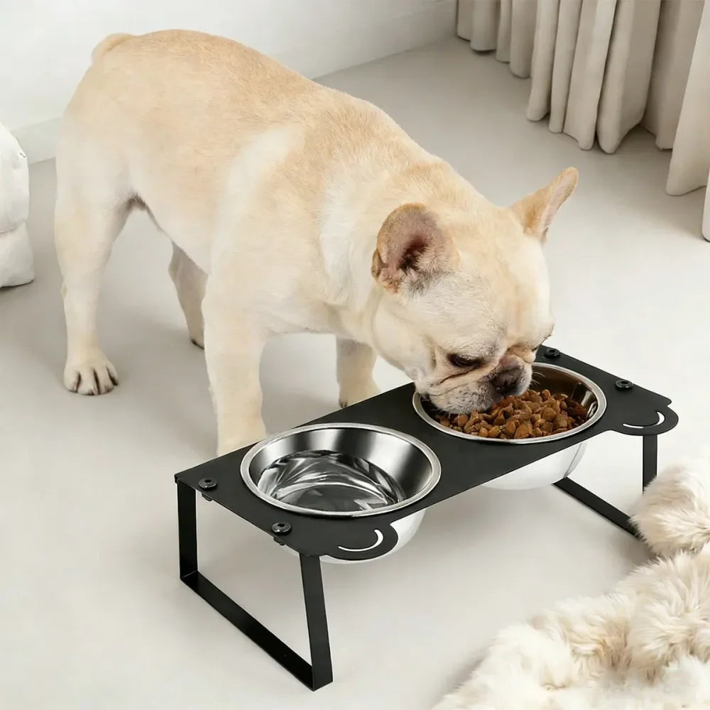 Dog Bowl Dog SuppliesTilted Iron Cat Bowl Stand, AntiVomiting Raised Cat Puppy Feeder With 2 Stainless Steel Bowls