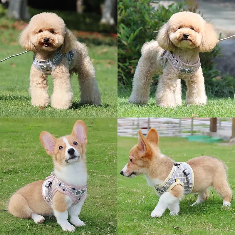 Nylon Puppy Harness Vest with Leash Breathable Reflective Pet Dogs Cats Harness for Chihuahua French Bulldog Collar Dog Supplies