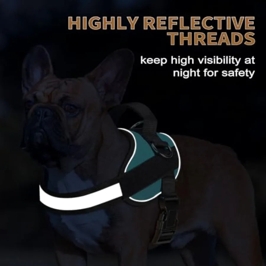 Essential Dog Harness, No Pull Pet Vest with 3 Leash Clips, No Choke, Reflective, Adjustable and Padded, for Easy Walking and T
