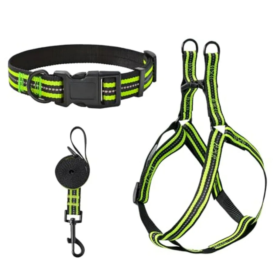 Night Double Adjustable Band Nylon Small Puppy Pet Dog Combo Collar Leash and Harness Set