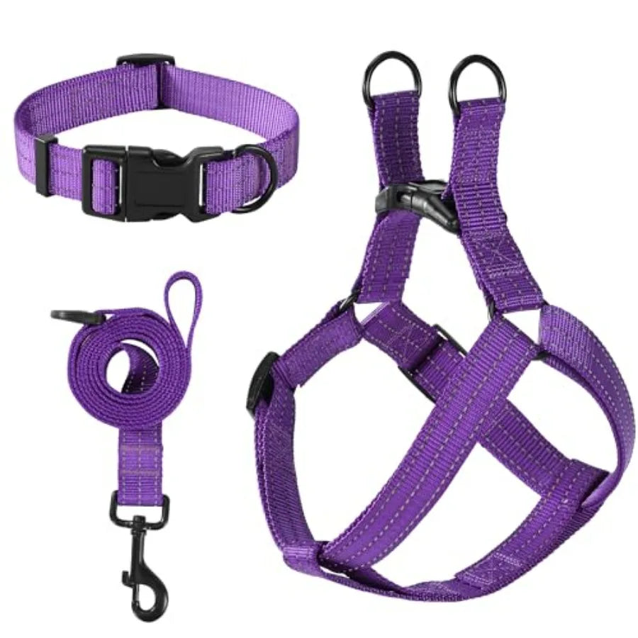 Night Double Adjustable Band Nylon Small Puppy Pet Dog Combo Collar Leash and Harness Set