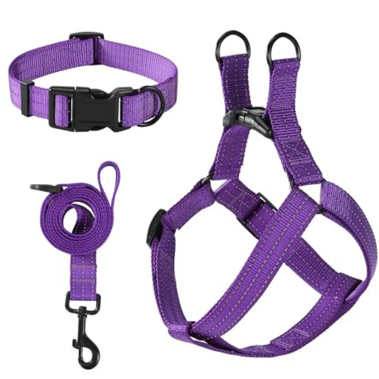 Night Double Adjustable Band Nylon Small Puppy Pet Dog Combo Collar Leash and Harness Set