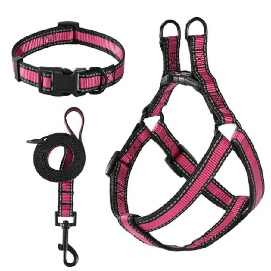 Night Double Adjustable Band Nylon Small Puppy Pet Dog Combo Collar Leash and Harness Set