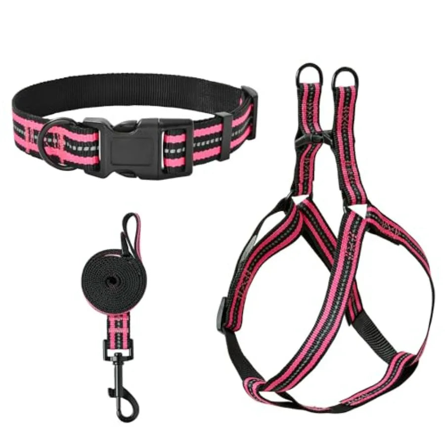 Night Double Adjustable Band Nylon Small Puppy Pet Dog Combo Collar Leash and Harness Set