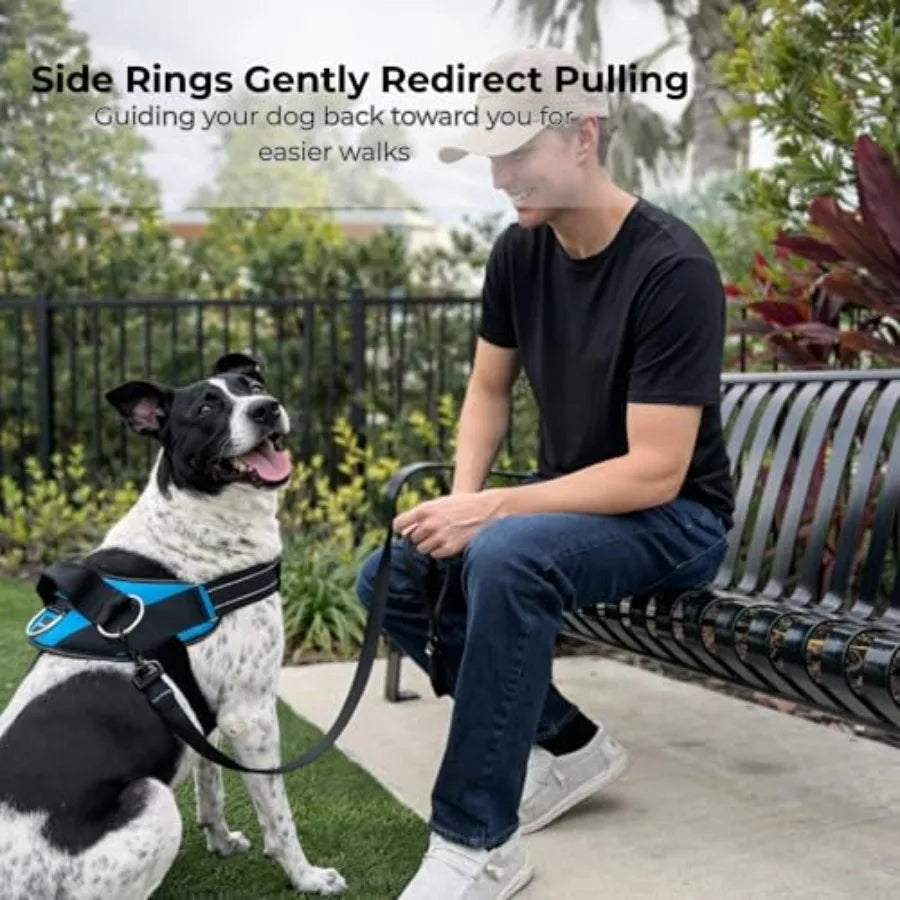 Essential Dog Harness, No-Pull Pet Vest with 3 Leash Clips, No Choke, Reflective, Adjustable and Padded, for Easy Walking and T