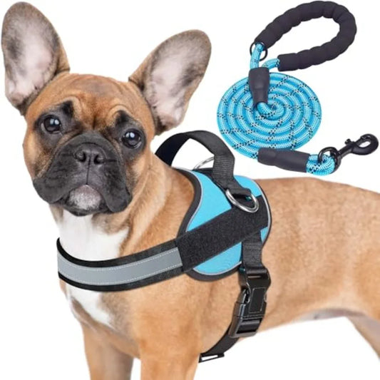 Essential Dog Harness, No Pull Pet Vest with 3 Leash Clips, No Choke, Reflective, Adjustable and Padded, for Easy Walking and T