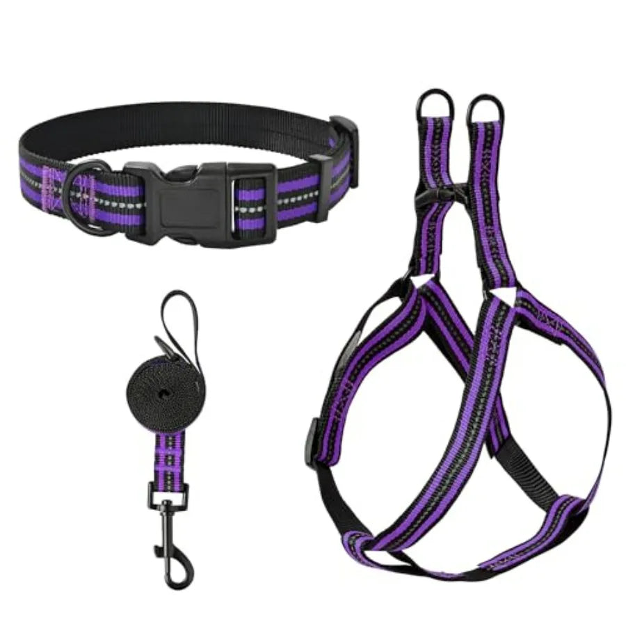 Night Double Adjustable Band Nylon Small Puppy Pet Dog Combo Collar Leash and Harness Set