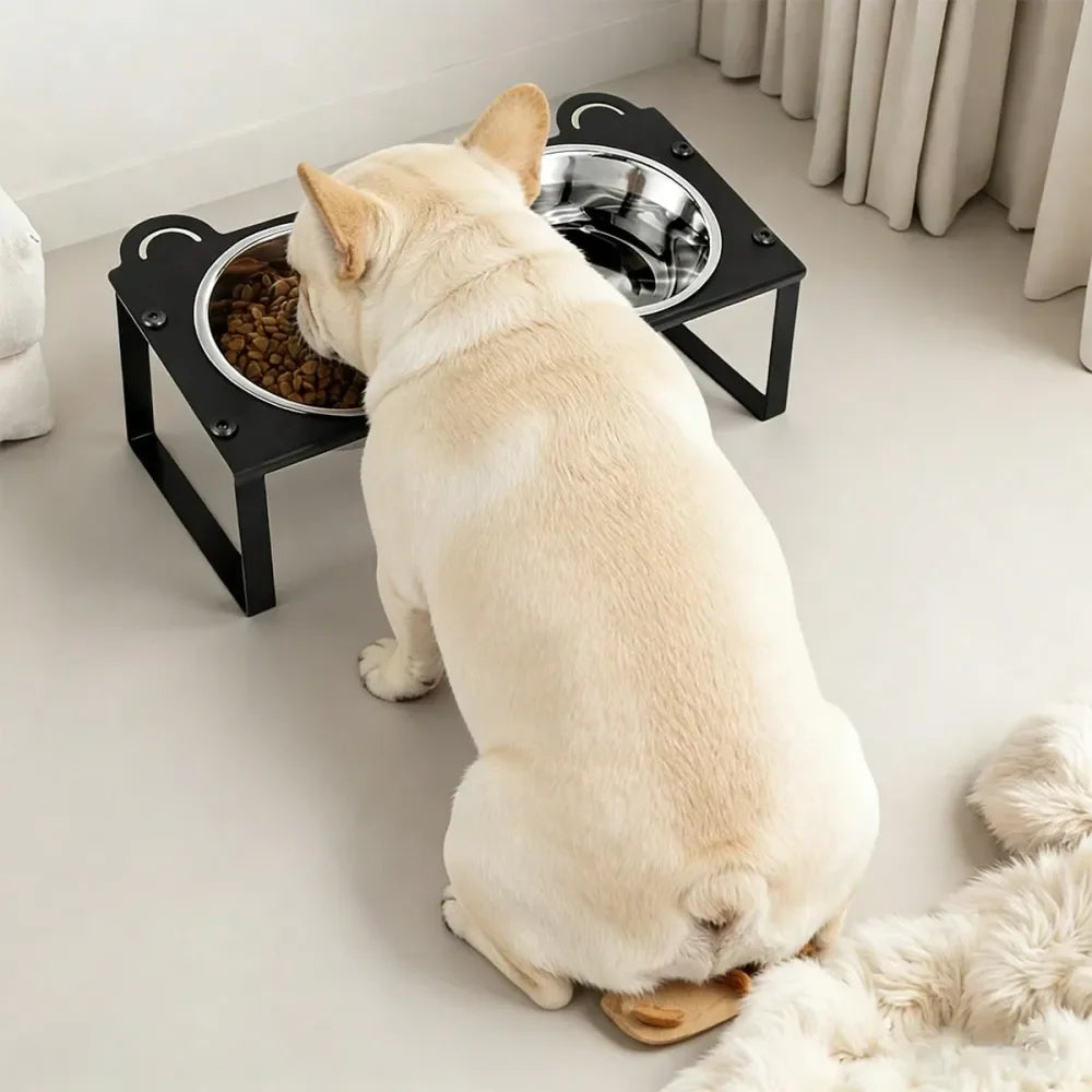 Dog Bowl Dog SuppliesTilted Iron Cat Bowl Stand, AntiVomiting Raised Cat Puppy Feeder With 2 Stainless Steel Bowls