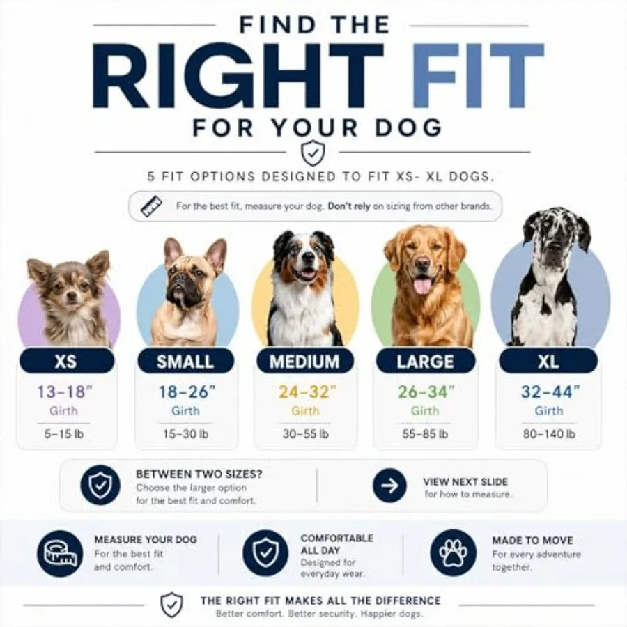 Essential Dog Harness, No-Pull Pet Vest with 3 Leash Clips, No Choke, Reflective, Adjustable and Padded, for Easy Walking and T