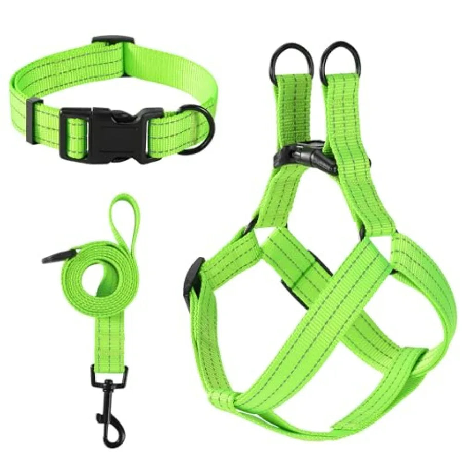 Night Double Adjustable Band Nylon Small Puppy Pet Dog Combo Collar Leash and Harness Set
