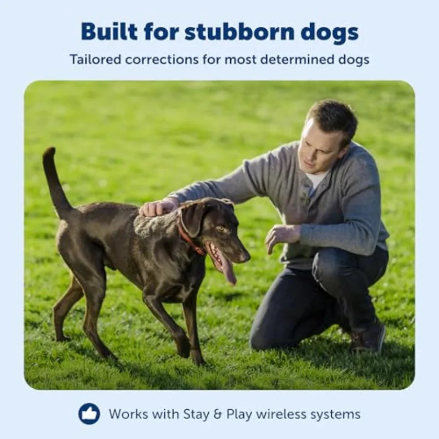 Wireless pet fence receiver collar for stubborn dogs: waterproof, rechargeable, tone and static correction, black, durable nylo