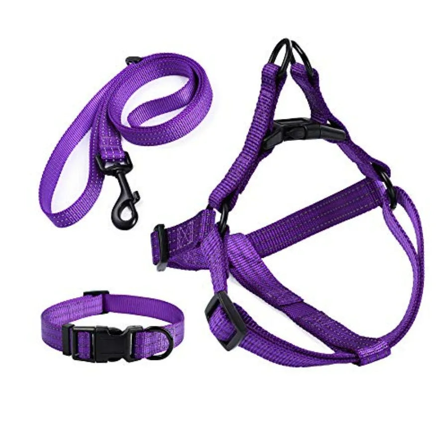 Night Double Adjustable Band Nylon Small Puppy Pet Dog Combo Collar Leash and Harness Set