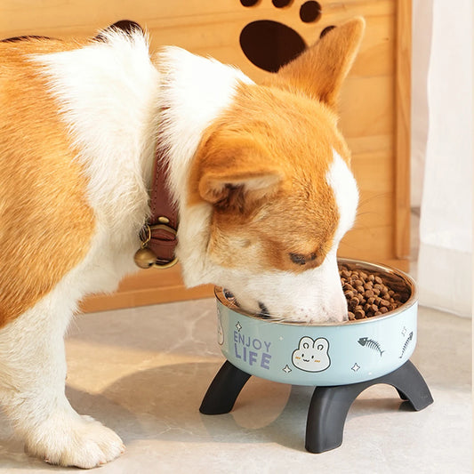 Elevated Pet Food Bowl Anti-slip Raised Stainless steel Cat Food Water Bowl with Stand Pet Feeding Drinking Bowls for Cats Dogs