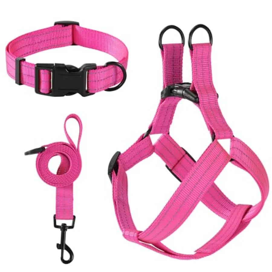 Night Double Adjustable Band Nylon Small Puppy Pet Dog Combo Collar Leash and Harness Set